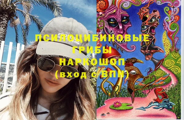 хмурый Ельня